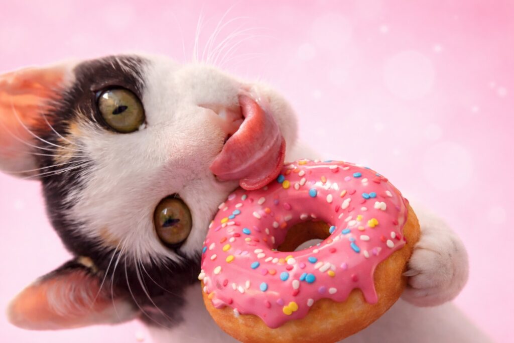 22 22